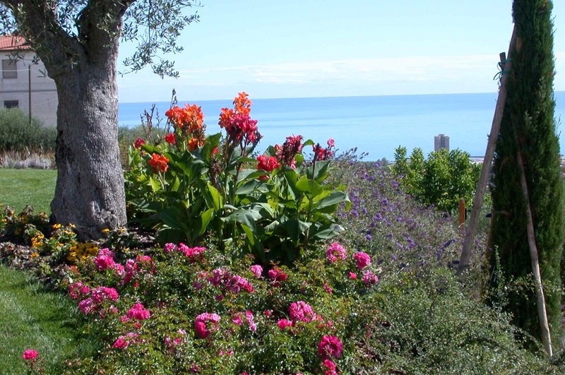 giardino_collina_2