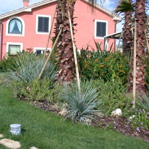 giardino_collina_2