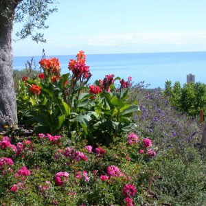giardino_collina_2