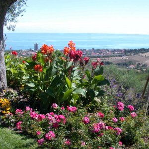 giardino_collina_2
