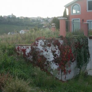 giardino_collina_2