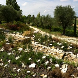 ruscello